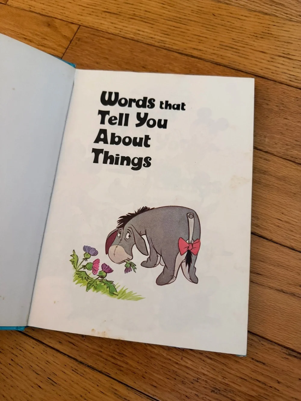 Disney Blue Picture Book - Words That Tell You About Things